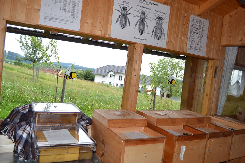 Bienenlehrstand-Bienenraum